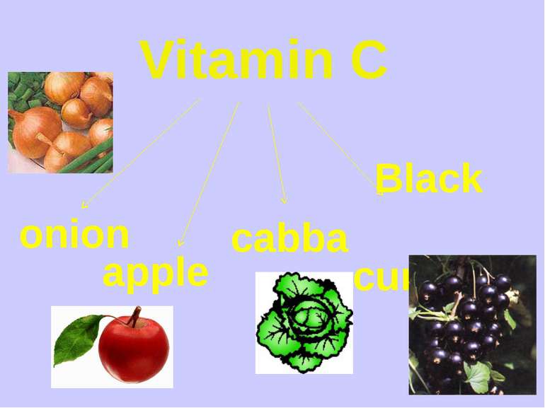 Vitamin C onion apples cabbage Black currants