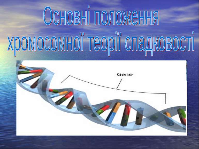 Основні положення хромосомної теорії спадковості