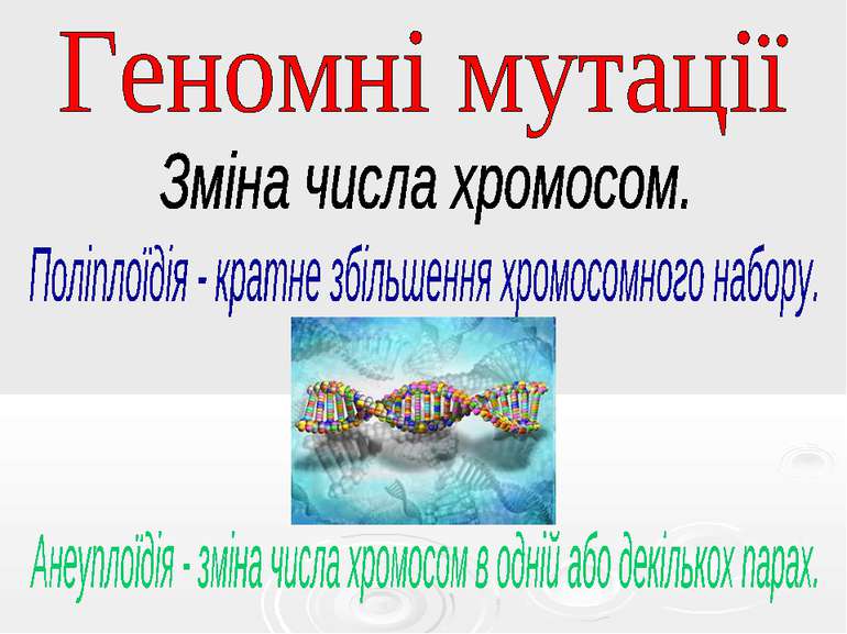 Геномні мутації Зміна числа хромосом. Поліплоїдія - кратне збільшення хромосо...