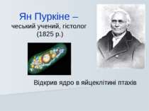 Відкрив ядро в яйцеклітині птахів Ян Пуркіне – чеський учений, гістолог (1825...