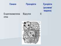 Ознаки Прокаріоти Еукаріоти (рослини/ тварини) Ендоплазматична сітка Відсутня Є