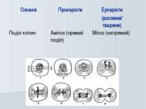 Ознаки Прокаріоти Еукаріоти (рослини/ тварини) Поділ клітин Амітоз (прямий по...