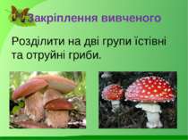Закріплення вивченого Розділити на дві групи їстівні та отруйні гриби.
