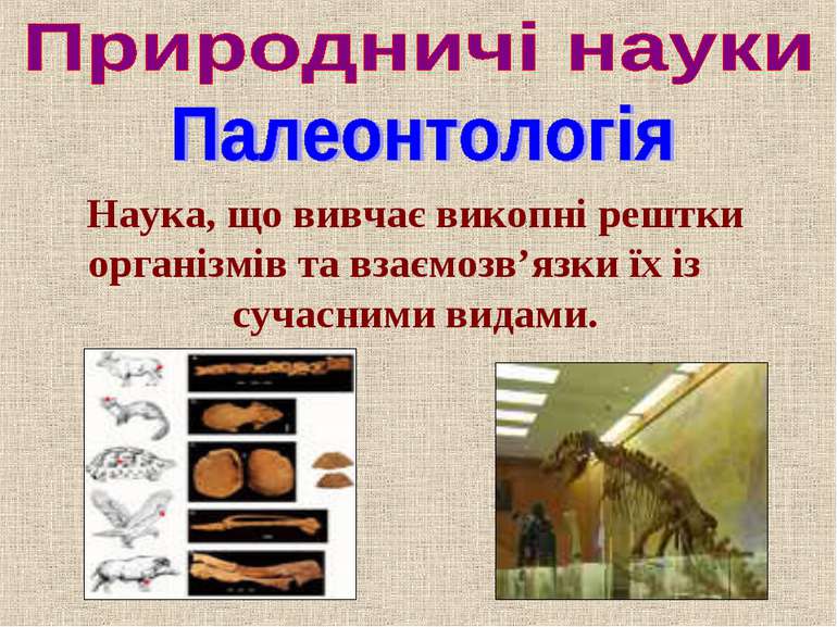 Наука, що вивчає викопні рештки організмів та взаємозв’язки їх із сучасними в...