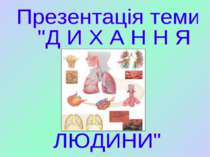Будова і функції органів дихання