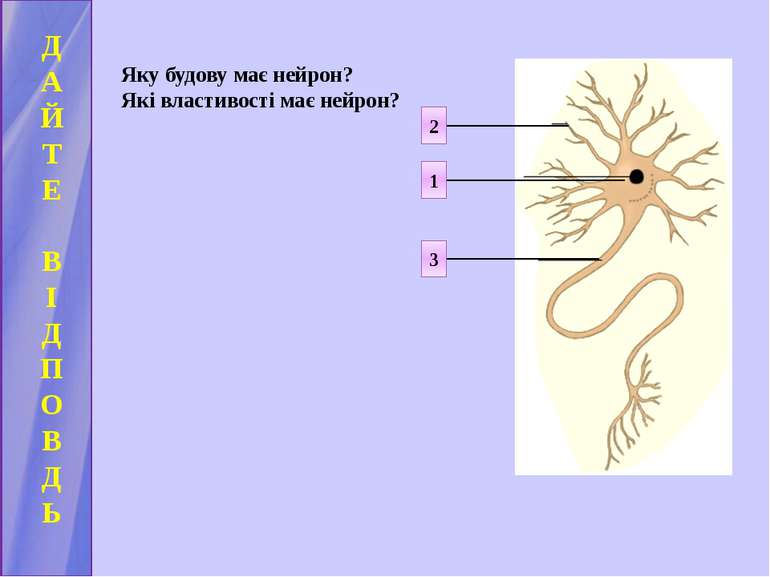 Д А Й Т Е В І Д П О В Д Ь Яку будову має нейрон? Які властивості має нейрон? ...