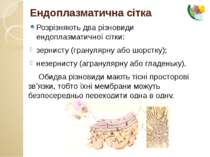 Розрізняють два різновиди ендоплазматичної сітки: зернисту (гранулярну або шо...