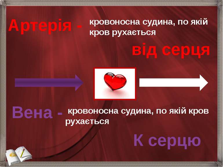 Артерія - кровоносна судина, по якій кров рухається від серця кровоносна суди...