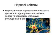 Нервові клітини Нервові клітини кори головного мозку за допомогою відгалужень...
