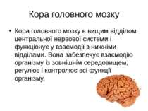 Кора головного мозку Кора головного мозку є вищим відділом центральної нервов...