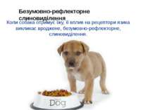 Коли собака отримує їжу, її вплив на рецептори язика викликає вроджене, безум...