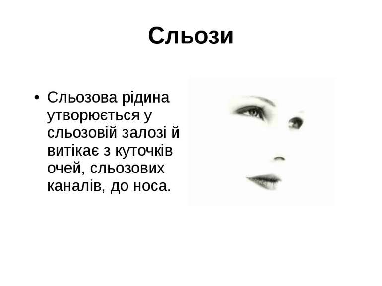 Сльози Сльозова рідина утворюється у сльозовій залозі й витікає з куточків оч...