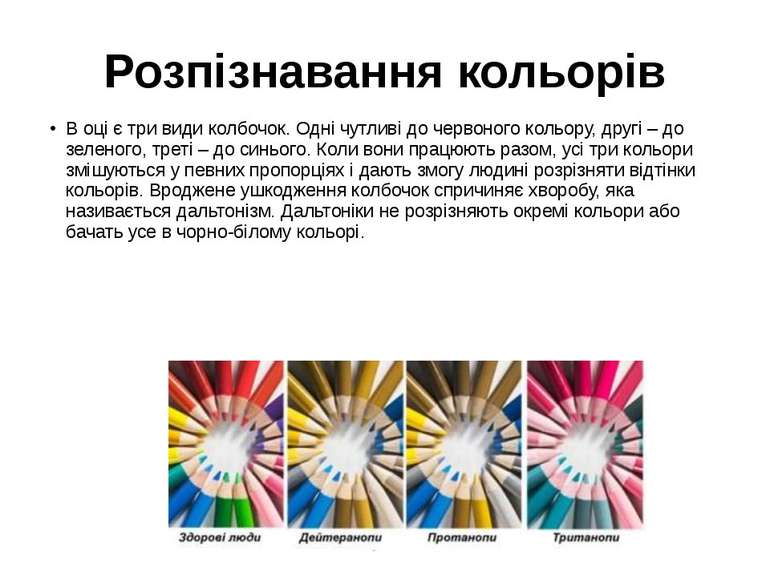 Розпізнавання кольорів В оці є три види колбочок. Одні чутливі до червоного к...