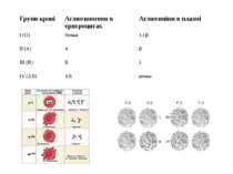 Групи крові Аглютиногени в еритроцитах Аглютиніни в плазмі І (О) Немає λ і β ...