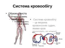 Система кровообігу Система кровообігу – це мережа кровоносних судин, якими кр...