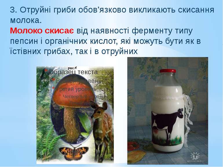 3. Отруйні гриби обов’язково викликають скисання молока. Молоко скисає від на...