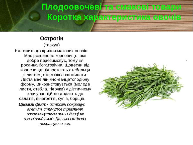 Плодоовочеві та смакові товари Коротка характеристика овочів Острогін (тархун...