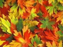 Безмежне багатство відтінків барв листя
