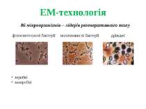 ЕМ-технологія 86 мікроорганізмів – лідерів регенеративного типу фотосинтезуюч...