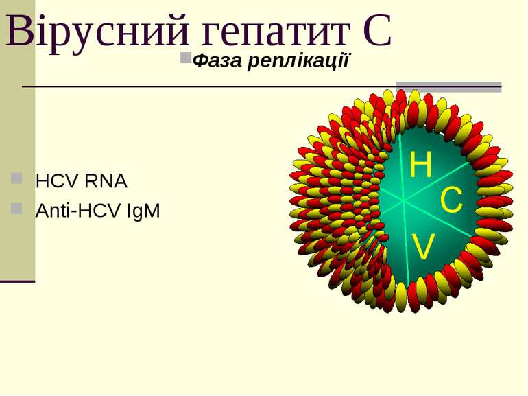 Вірусний гепатит С Фаза реплікації HCV RNA Anti-HCV IgM