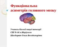 Функціональна асиметрія головного мозку Учитель біологіі вищої категорії СШ №...