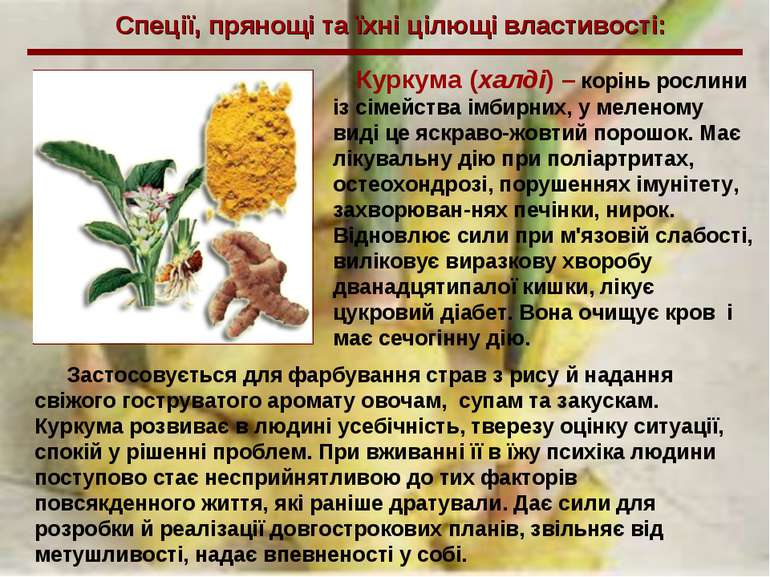 Спеції, прянощі та їхні цілющі властивості: Куркума (халді) – корінь рослини ...