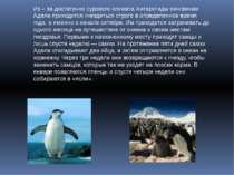 Из – за достаточно сурового климата Антарктиды пингвинам Адели приходится гне...