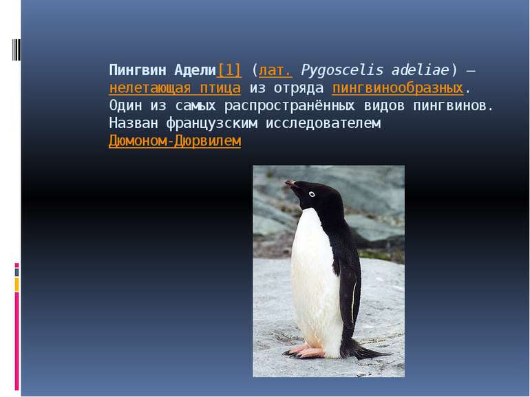 Пингвин Адели[1] (лат. Pygoscelis adeliae) — нелетающая птица из отряда пингв...