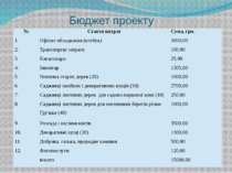 Бюджет проекту № Стаття витрат Сума, грн. 1. Офісне обладнання (нетбук) 3000,...