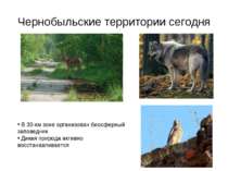 Чернобыльские территории сегодня В 30-км зоне организован биосферный заповедн...