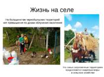 Жизнь на селе На большинстве чернобыльских территорий нет превышения по дозам...
