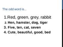 The odd word is... 1.Red, green, grey, rabbit 2. Hen, hamster, dog, tiger 3. ...