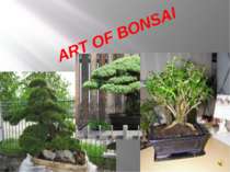 ART OF BONSAI