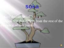 soka Soka ("double barrel") - is a composition that differs from the rest of ...