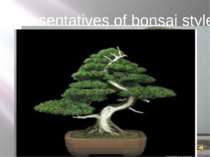Representatives of bonsai style
