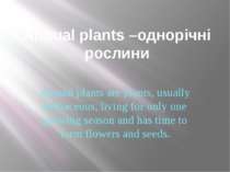 Annual plants –однорічні рослини Annual plants are plants, usually herbaceous...