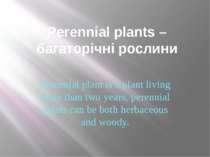 Perennial plants –багаторічні рослини Perennial plant is a plant living more ...