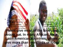 Plants give most of the food that people eat. In many African, Asiat, Latin-A...