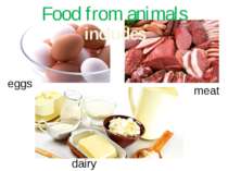 Food from animals eggs meat dairy products includes