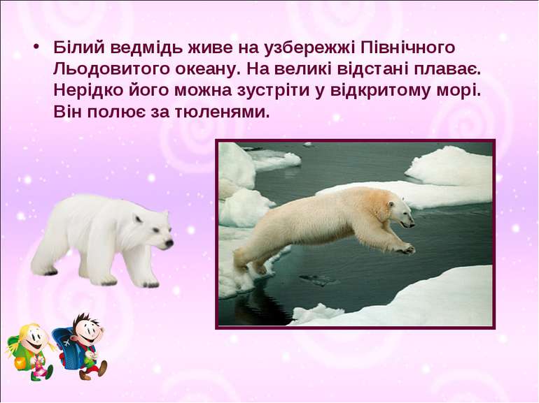 Білий ведмідь живе на узбережжі Північного Льодовитого океану. На великі відс...