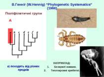 В.Генніг (W.Hennig) “Phylogenetic Systematics” (1966) НАПРИКЛАД: Безкрилі ком...