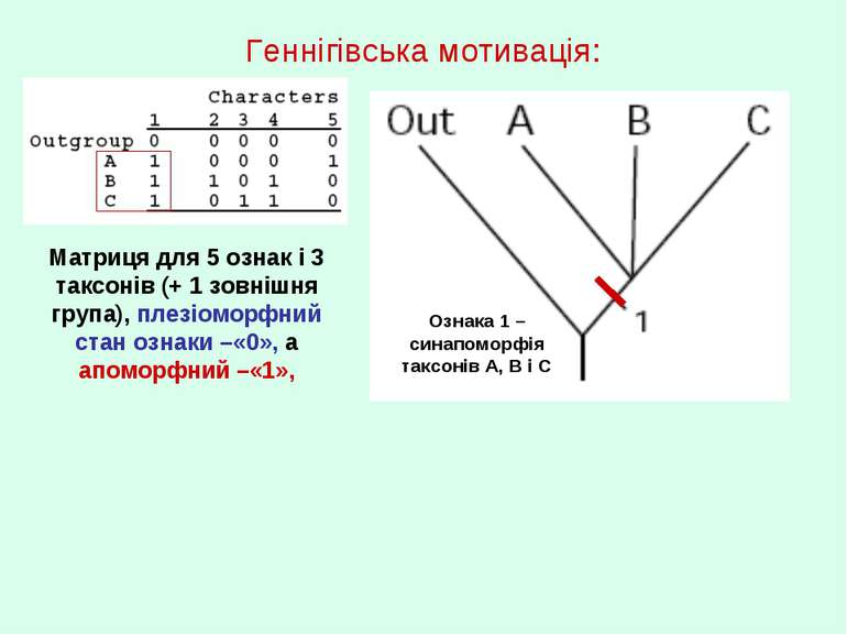 Геннігівська мотивація: Матриця для 5 ознак і 3 таксонів (+ 1 зовнішня група)...