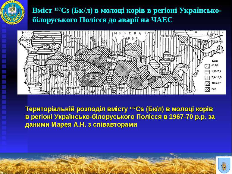 Вміст 137Cs (Бк/л) в молоці корів в регіоні Українсько-білоруського Полісся д...