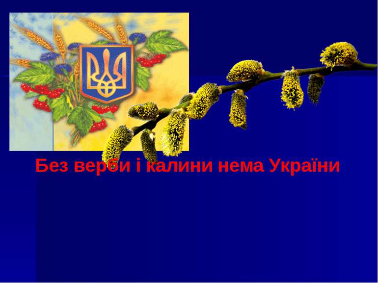Без верби і калини нема України
