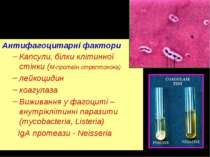 Антифагоцитарні фактори Капсули, білки клітинної стінки (М-протеїн стрептокок...