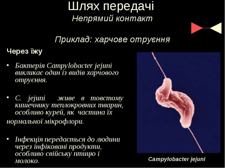 Шлях передачі Непрямий контакт Приклад: харчове отруєння Через їжу Бактерія C...