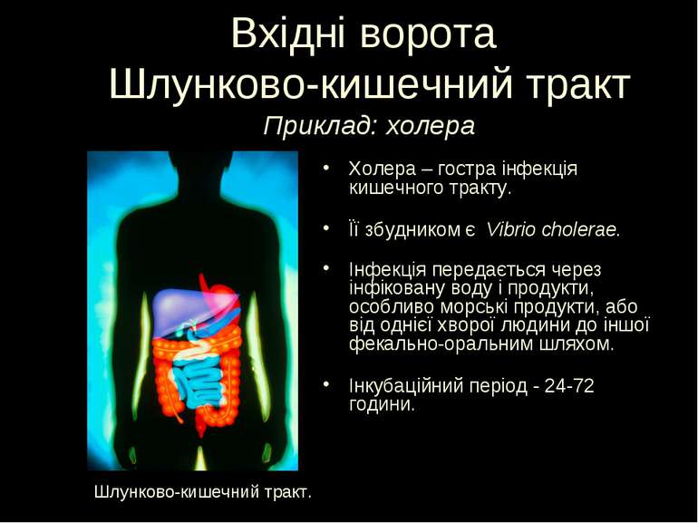Вхідні ворота Шлунково-кишечний тракт Приклад: холера Холера – гостра інфекці...