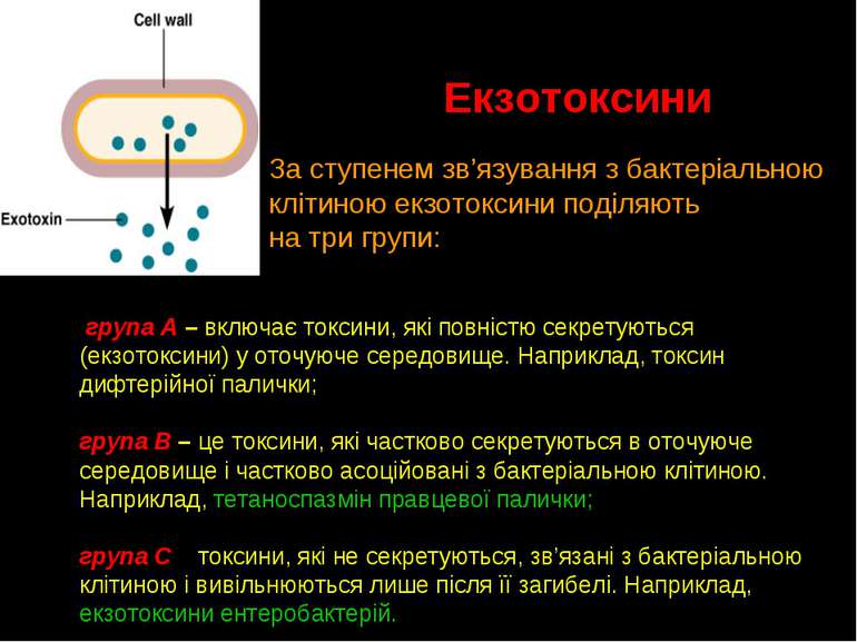 Екзотоксини За ступенем зв’язування з бактеріальною клітиною екзотоксини поді...