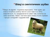 Вівці в синтетичних шубах Вівця, як відомо, тваринна нерозумна. Знає адже, що...