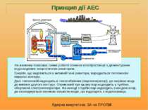На малюнку показана схема роботи атомної електростанції з двоконтурним водо-в...